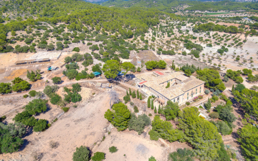 Investmentprojekt auf riesigem 1 Mio m² Grundstück zwischen Paguera und Es Capdella