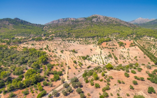 Investmentprojekt auf riesigem 1 Mio m² Grundstück zwischen Paguera und Es Capdella