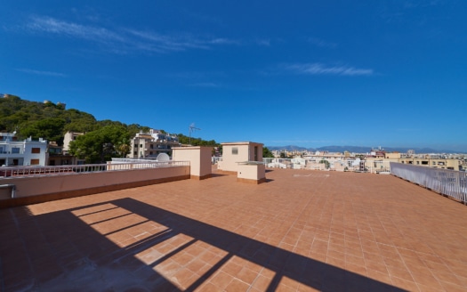 Investment: Duplex penthouse with sea views over the rooftops of Palma and huge terrace in El Terreno