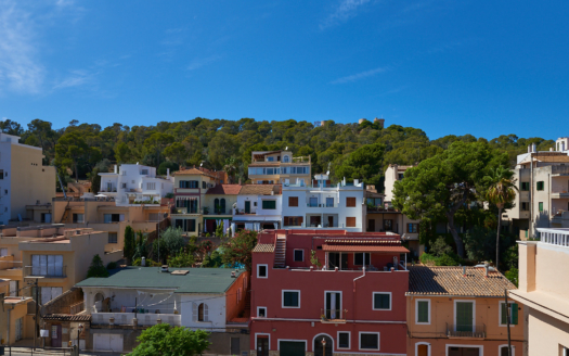 Investment: Duplex penthouse with sea views over the rooftops of Palma and huge terrace in El Terreno