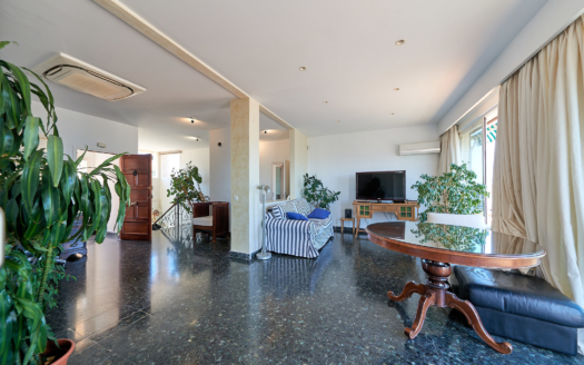 Investment: Duplex Penthouse mit Meerblick über den Dächern von Palma und riesiger Terrasse in El Terreno