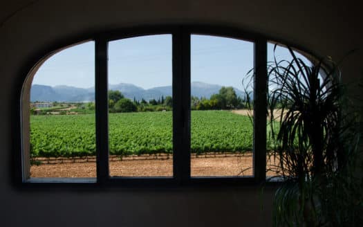 Weingut mit Ferienvermietlizenz bei Sencelles, im Herzen der Insel - Tramuntanablick und Pool