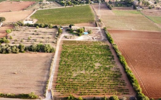 Weingut mit Ferienvermietlizenz bei Sencelles, im Herzen der Insel - Tramuntanablick und Pool