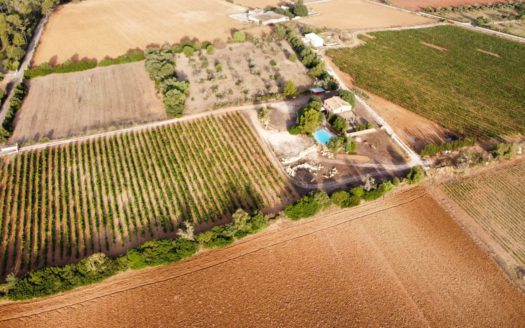 Weingut mit Ferienvermietlizenz bei Sencelles, im Herzen der Insel - Tramuntanablick und Pool