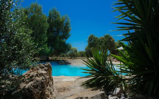 Weingut mit Ferienvermietlizenz bei Sencelles, im Herzen der Insel - Tramuntanablick und Pool