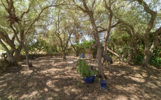 Beautiful finca with mountain views and pool in quiet location near Llucmajor