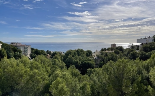 Kernsaniertes Penthouse in Cas Catala mit fantastischem Weitblick auf das Meer