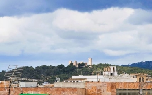 Inversión: Ático con gran terraza para reformar en el corazón de Palma cerca de las famosas Ramblas