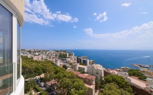 Beautiful luxury penthouse with spectacular sea views in San Agustín