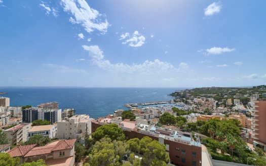 Beautiful luxury penthouse with spectacular sea views in San Agustín