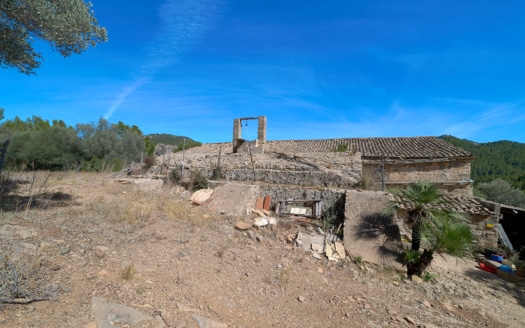 Investment: Historic finca near Andratx with olive mill from the 18th century - fantastic location