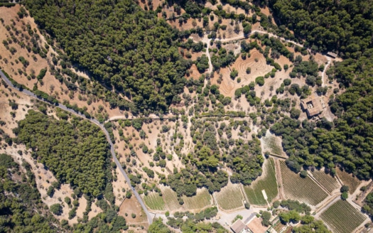 Investment: Historic finca near Andratx with olive mill from the 18th century - fantastic location