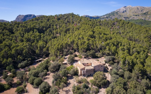 Investment: Historic finca near Andratx with olive mill from the 18th century - fantastic location