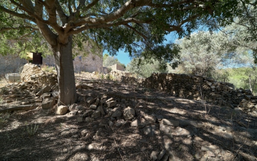 Investment: Historic finca near Andratx with olive mill from the 18th century - fantastic location