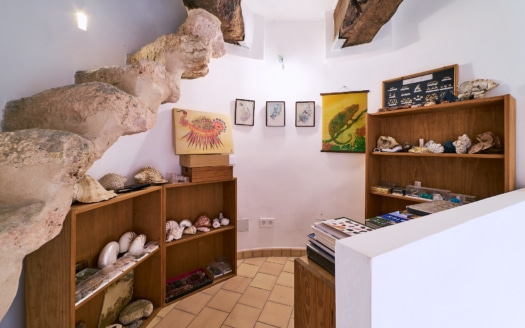 Lovingly renovated mill in Costitx from the 18th century after complete refurbishment
