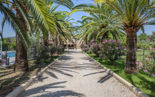 Finca mit Gästehäusern und Panoramablick bei Binissalem