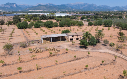 Grundstück für Finca bei Binissalem - mit Projekt