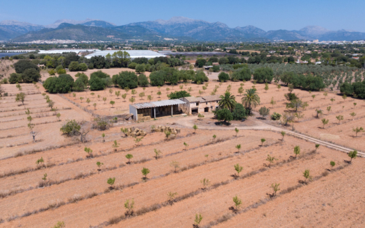 Grundstück für Finca bei Binissalem - mit Projekt