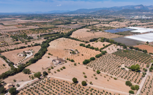 Grundstück für Finca bei Binissalem - mit Projekt