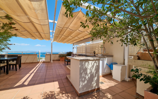 Penthouse in Palma with sea and harbor views and fantastic 360° rooftop terrace