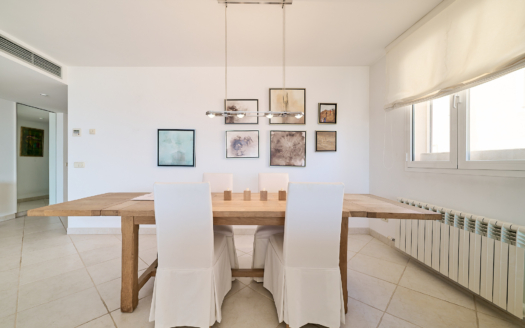 Penthouse in Palma with sea and harbor views and fantastic 360° rooftop terrace