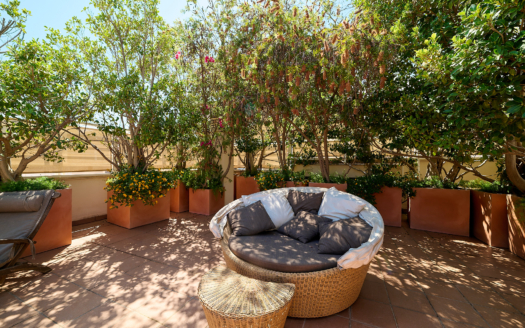 Penthouse in Palma with sea and harbor views and fantastic 360° rooftop terrace