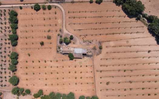 Grundstück für Finca bei Binissalem - mit Projekt