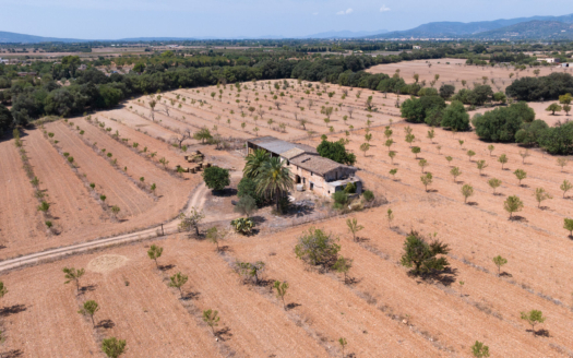 Grundstück für Finca bei Binissalem - mit Projekt