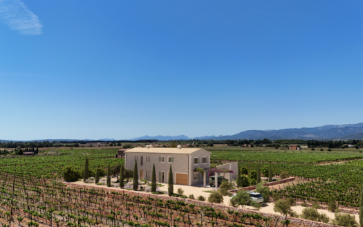 Neubau Finca bei Sencelles im klassisch mediterranem Stil mit Pool und eigenem Weinberg